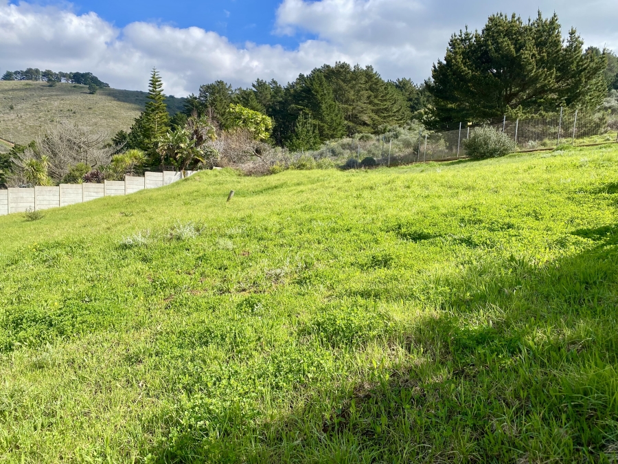 0 Bedroom Property for Sale in Oude Westhof Western Cape